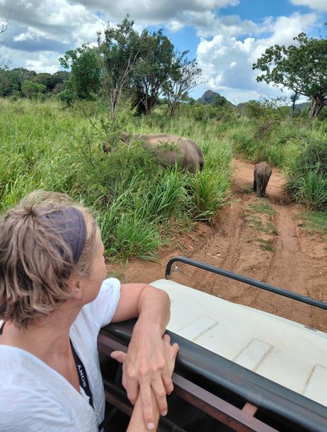 Hurulu Eco Park Ticket Price