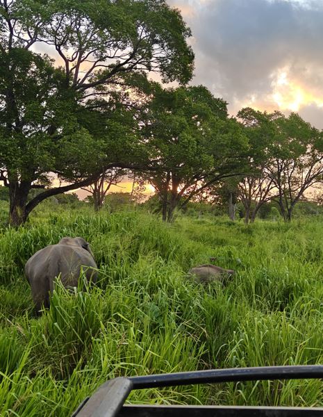 Hurulu Eco Park Safari