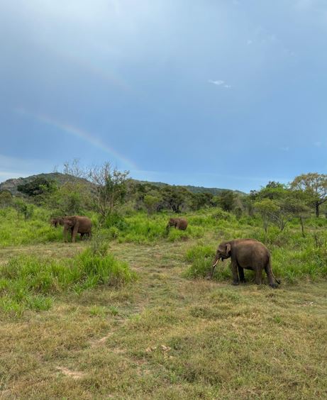 Hurulu ECO Park Sri Lanka