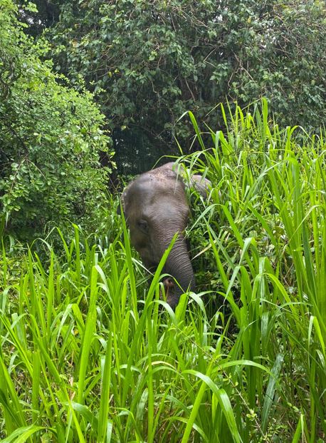 Hurulu Eco Park Sri Lanka